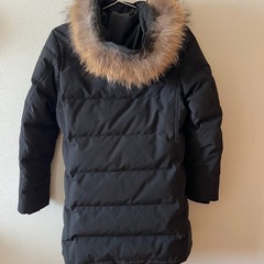 ダントン DANTON  ダウンジャケット
の画像