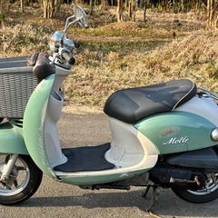 ビーノモルフェ　女性ワンオーナー　の画像