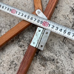 玄関の廊下に　ワンちゃんやお子さんに　の画像