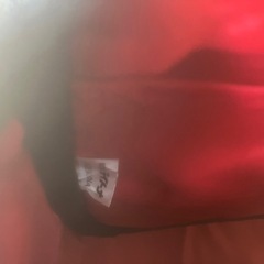 デイトナ　サイドバックの画像