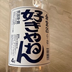 (問い合わせ終了)
4リットル　　ペットボトルの画像