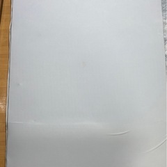 トゥルースリーパー　シングルの画像