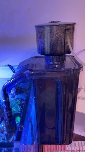 海水魚水槽セット（生体のみ可）