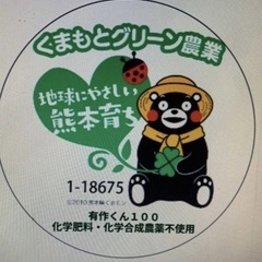 あさぎり茶（三袋）の画像