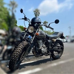 FTR223 カスタム　スカチェーンの画像