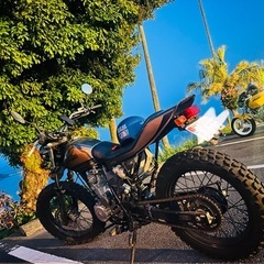 FTR223 カスタム　スカチェーンの画像