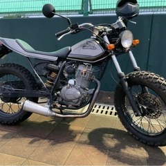 FTR223 カスタム　スカチェーンの画像