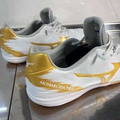 モナルシーダ   サルシュー 27.5の画像