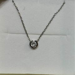 ホースシュー 馬蹄ネックレス ステンレス316L 金属アレルギー対応の画像