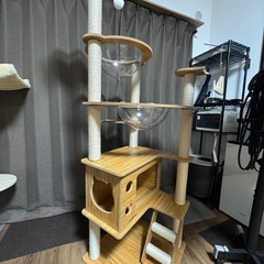 【受付終了】Cozy Meow キャットタワー　165cm  の画像