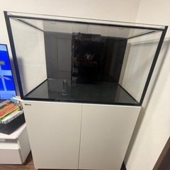 Redsea reefer. 250の画像