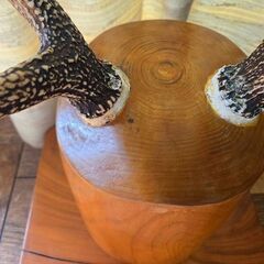  鹿の角 刀置き 中古の画像