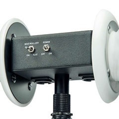 ASMRマイク 3dio Free Space XLRの画像