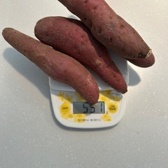 ★④茨城県産 シルクスイート S 551g★