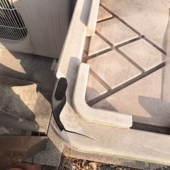 【決まりました】屋外ボックス の画像