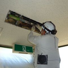 🔥人生変えたい人集合！未経験→一人前の電気工事士に◆独立支援@寒川の画像