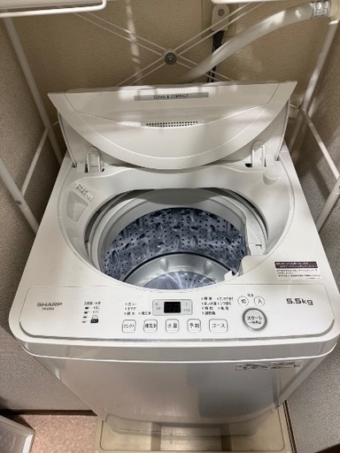 シャープ　洗濯機　2023年製