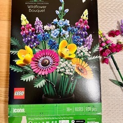LEGO レゴ　フラワーボタニカル939ピースの画像