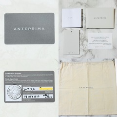 【極美品】ANTEPRIMA アンテプリマ ワイヤーバッグ ルッケット 付属品ありの画像