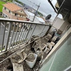 ベランダのハト対策｜防鳥ネット張り・フン清掃 承ります の画像