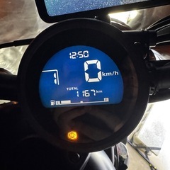 ドラレコ付き カスタム多数】レブル　Rebel250 eクラッチ／2025年式/低走行1167kmの画像