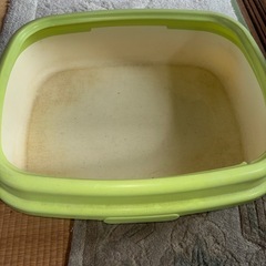 猫ちゃんトイレ大きめの画像