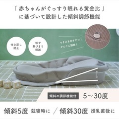 【TTT様専用】ネオママイズム　ベッドインベッドの画像