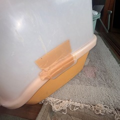 猫ちゃんトイレカバー付きの画像