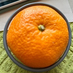 象印　スチームパッキンの画像