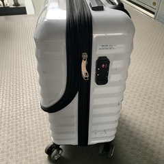 キャリーバッグ　白の画像