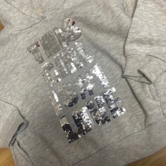 ザラパーカー110の画像