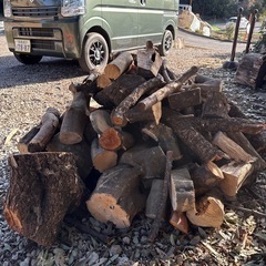薪作りで出た端材・二股・曲がり木など【無料】差し上げます（カシ・梅）の画像