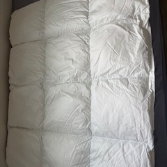 川西リビング羽毛かけ布団 (子供用)の画像