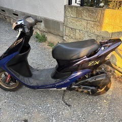 ホンダ　ライブディオZX 規制前！の画像