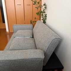 ソファベッドの画像