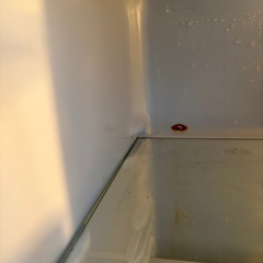 ハイセンス　120リットル　冷蔵庫　一人暮らしの画像