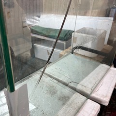 90センチ水槽の画像