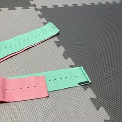 モニターベルトの画像