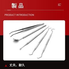 歯石取り 5本セット ケース付き スケーラー 歯垢 食べかす 除去 用具 デンタル オーラル ケア  口腔 衛生 ツール 自宅 歯の点検 器具ヤニとり ステンレス製の画像