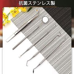 歯石取り 5本セット ケース付き スケーラー 歯垢 食べかす 除去 用具 デンタル オーラル ケア  口腔 衛生 ツール 自宅 歯の点検 器具ヤニとり ステンレス製の画像