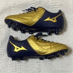 ミズノ スパイク レビュラ 3 SELECT+ ジュニア 22cmの画像