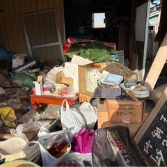 もらって下さいの画像