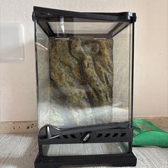 EXO TBRRA ゲージ2601の画像