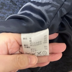 LESTERA レステラ ジャガード エンブロイダリー ダウンコートの画像