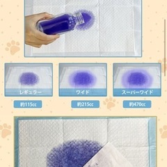 ペットシーツ 薄型スーパーワイド25枚入り✖️10個の画像