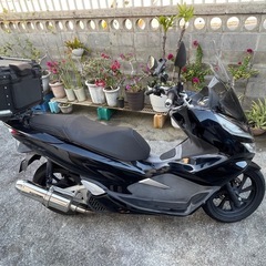 pcX125 jf81 ブラックの画像