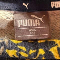 PUMAトレーナー 子供用の画像