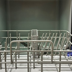 【決まりました】IRIS OHYAMA 食洗機の画像