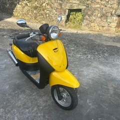 ホンダaf67トゥデイ50の画像