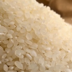 受付終了第4弾令和7年度コシヒカリの画像